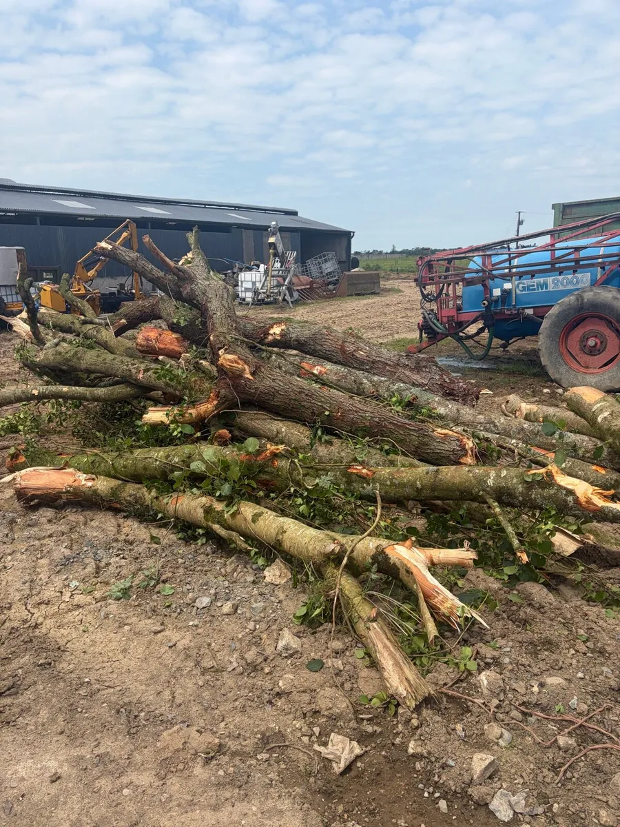 Firewood for sale - Image 1