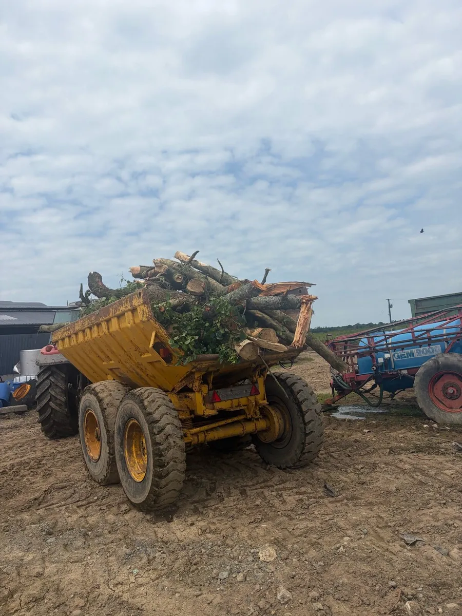 Firewood for sale - Image 2
