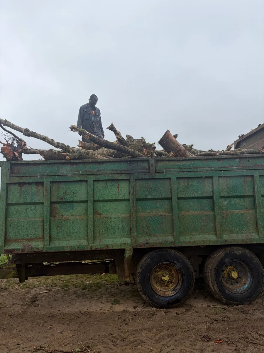 Firewood for sale - Image 3