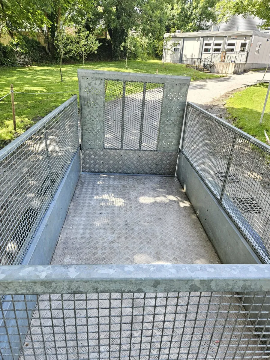 Nugent builders trailer - Image 4