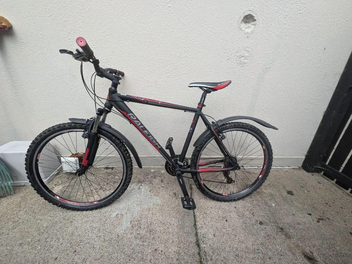 Raleigh Bike - Image 3
