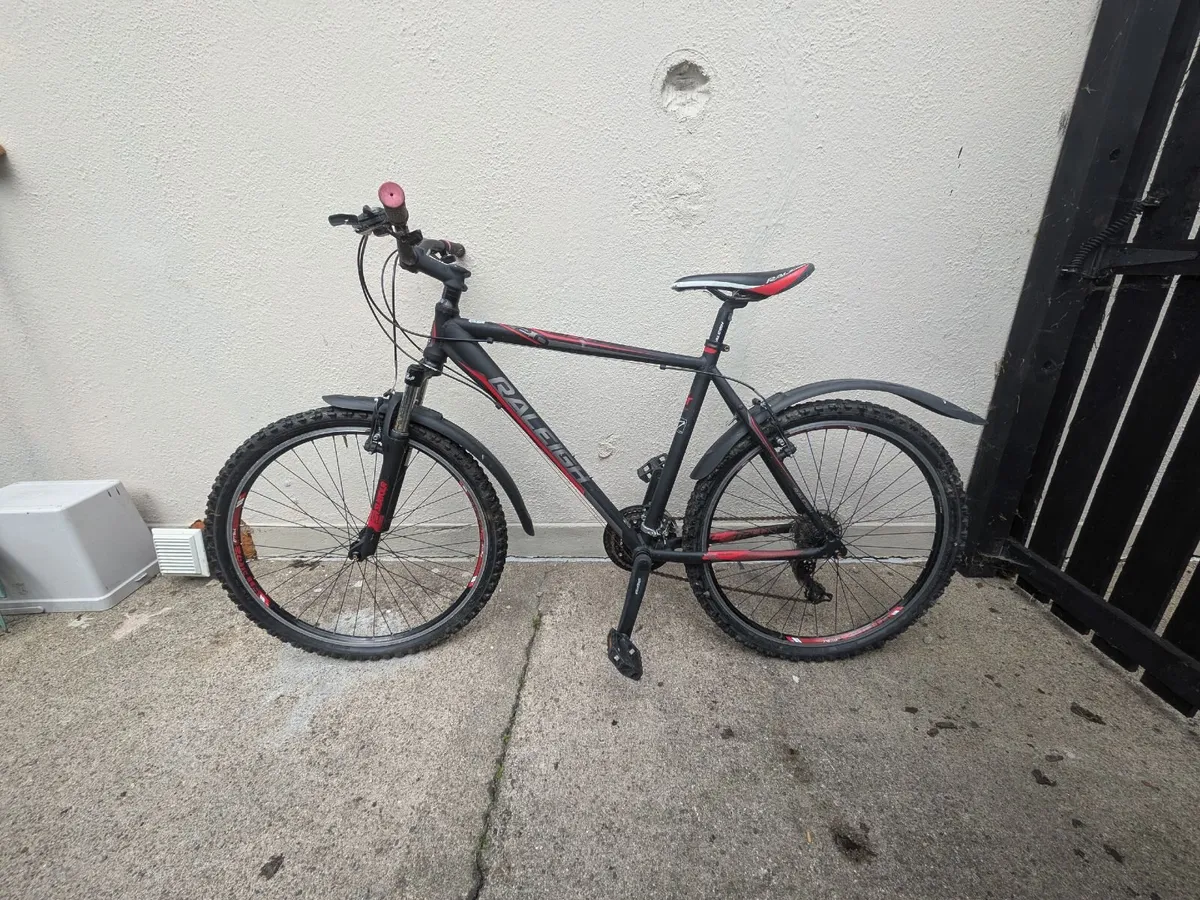 Raleigh Bike - Image 1