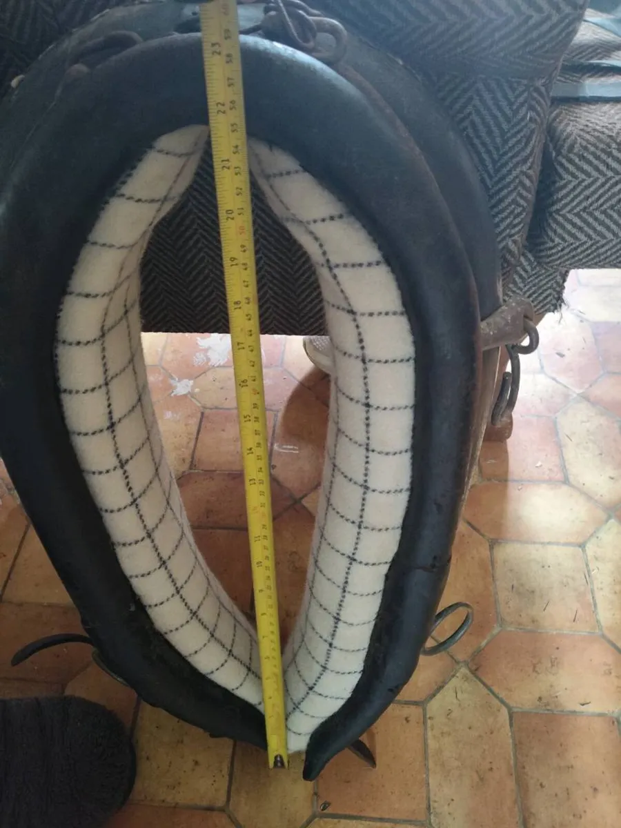 Newly lined coller .... - Image 1