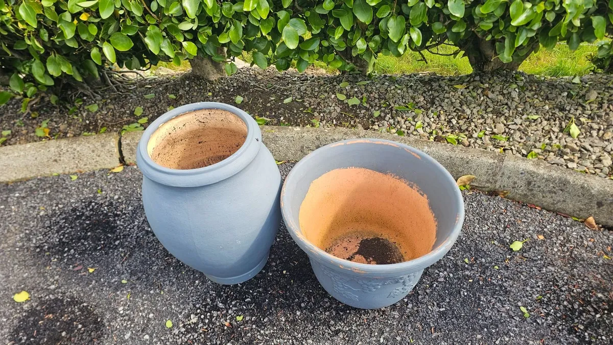 Flower pots - Image 4