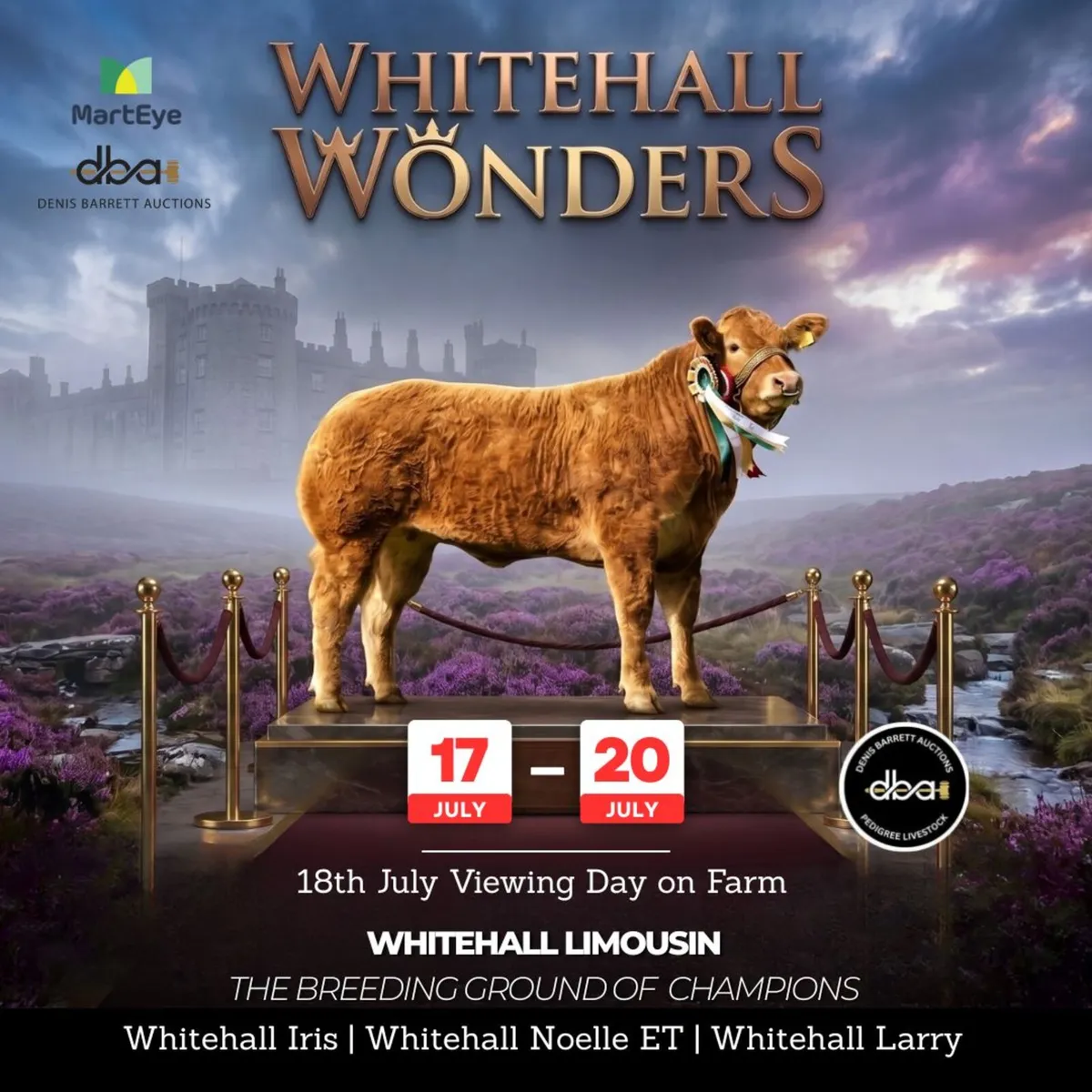 Whitehall Wonders Online Pedigree Limousin Sale - Image 1