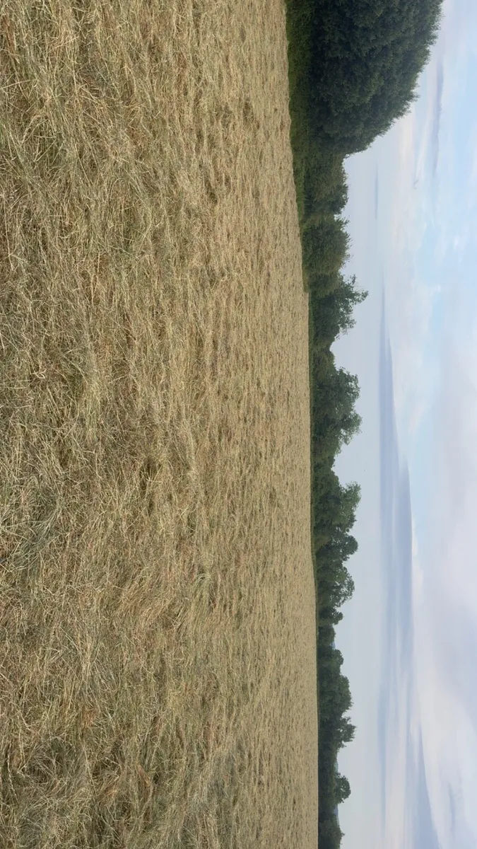 Top Quality Round Bales Of Haylage - Image 3