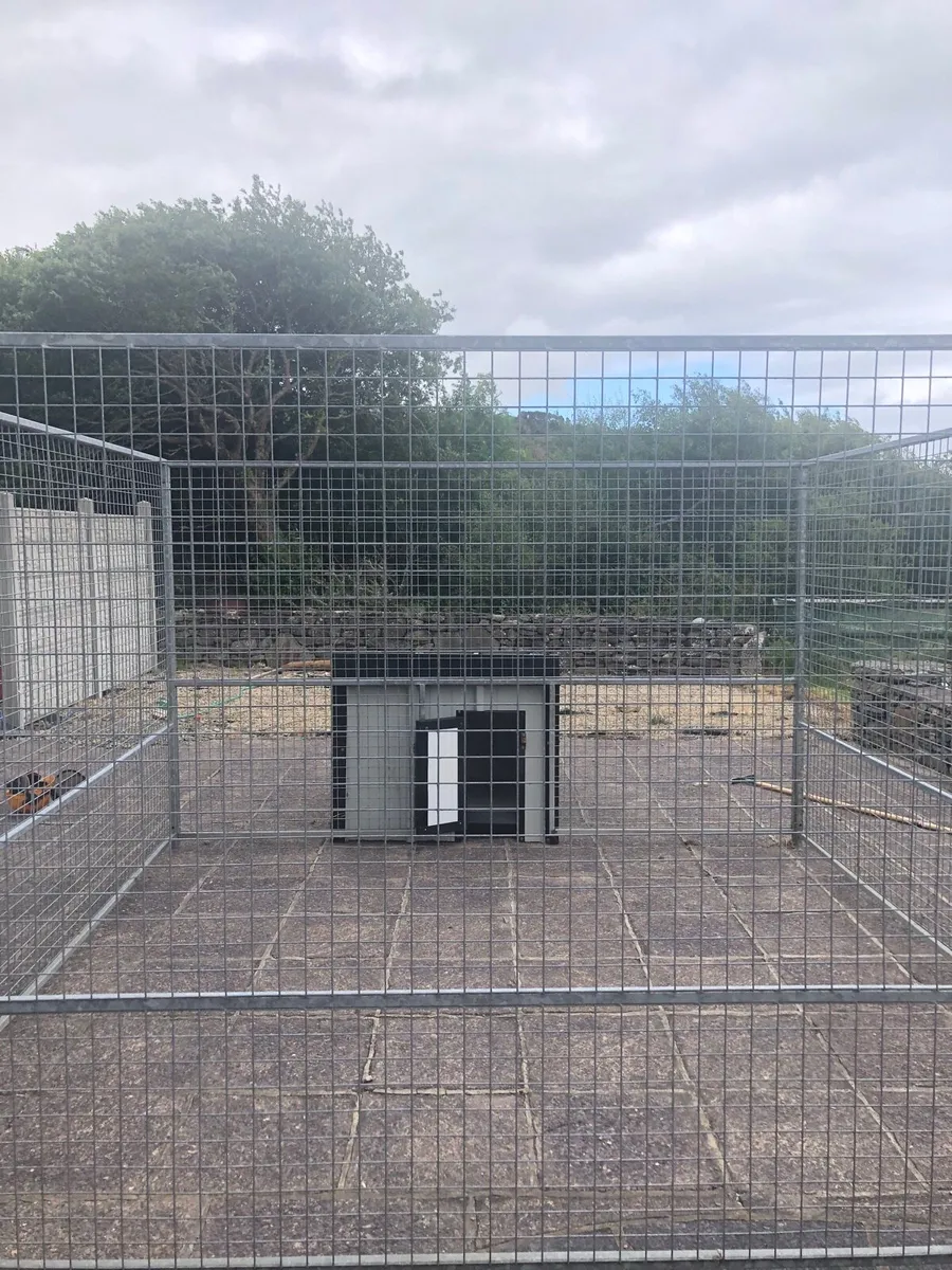 Dog house and cage - Image 1