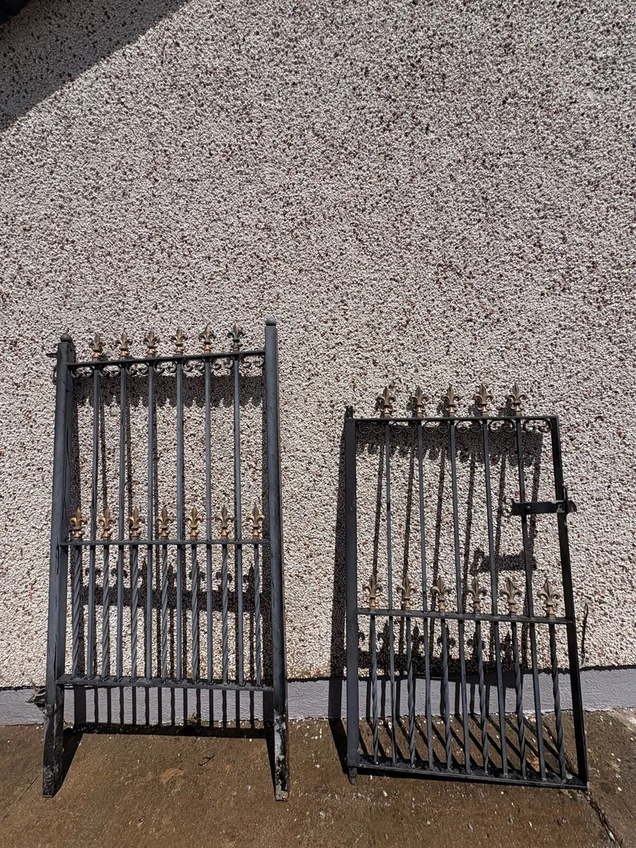IRON GATES - Image 1