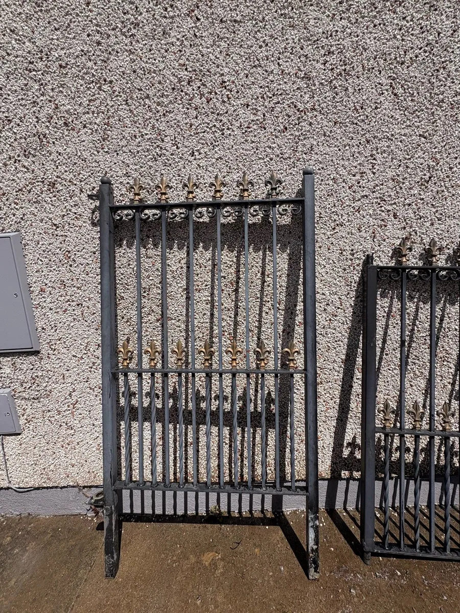 IRON GATES - Image 2