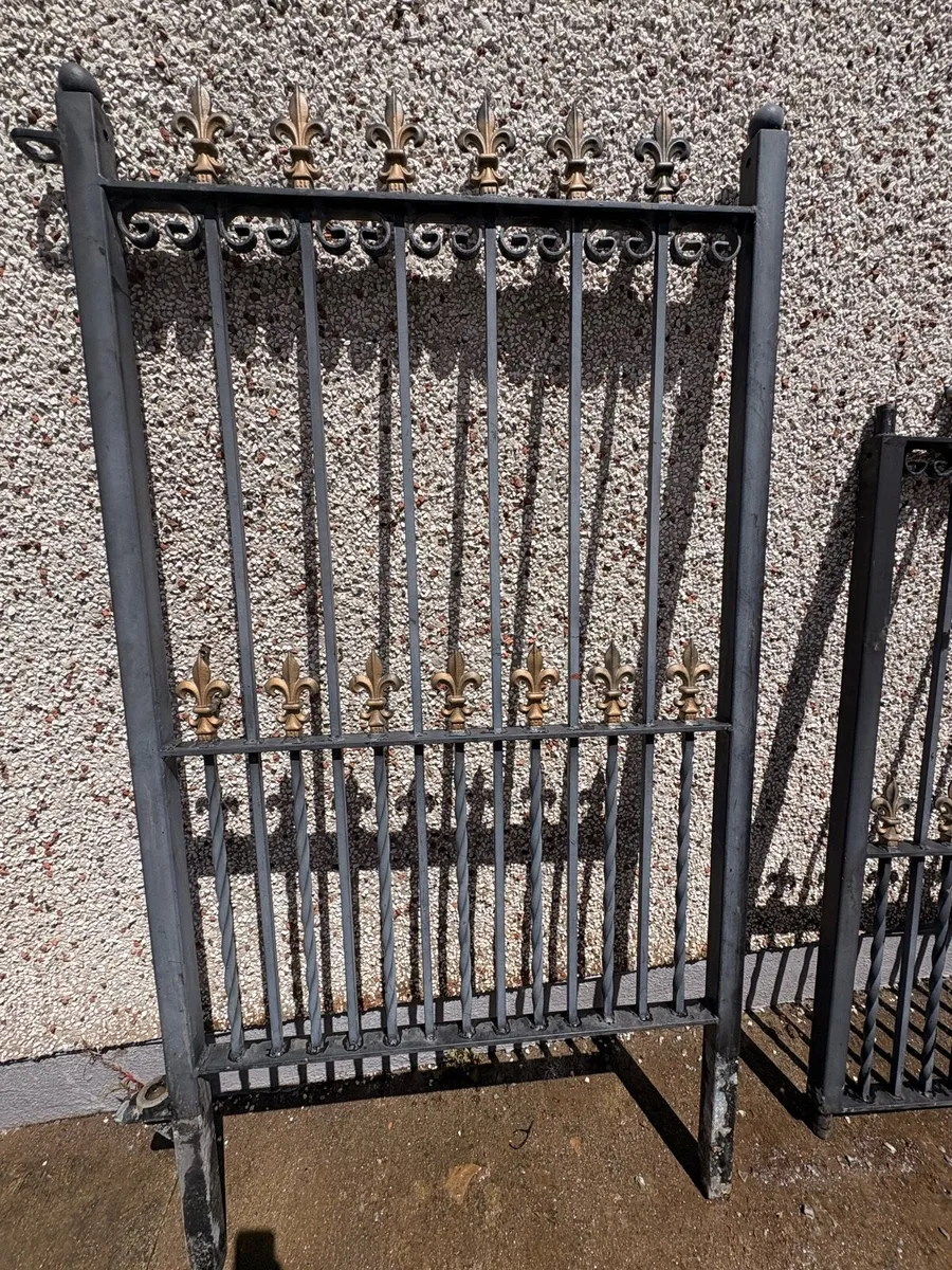 IRON GATES - Image 3
