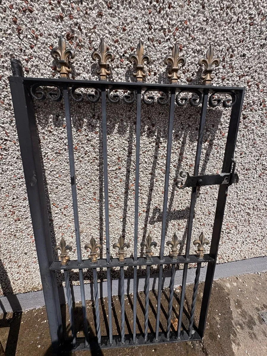IRON GATES - Image 4
