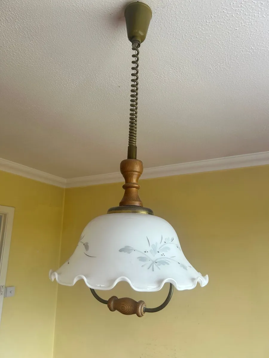 Extendable overhead light and fitting - Image 1