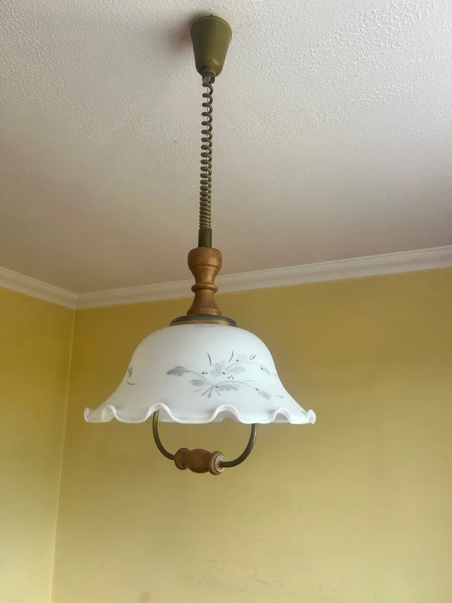 Extendable overhead light and fitting - Image 2