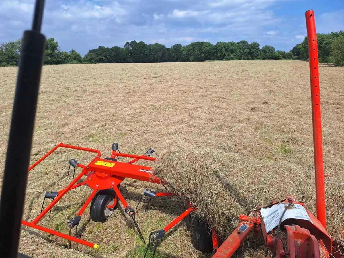 Hay - Image 1