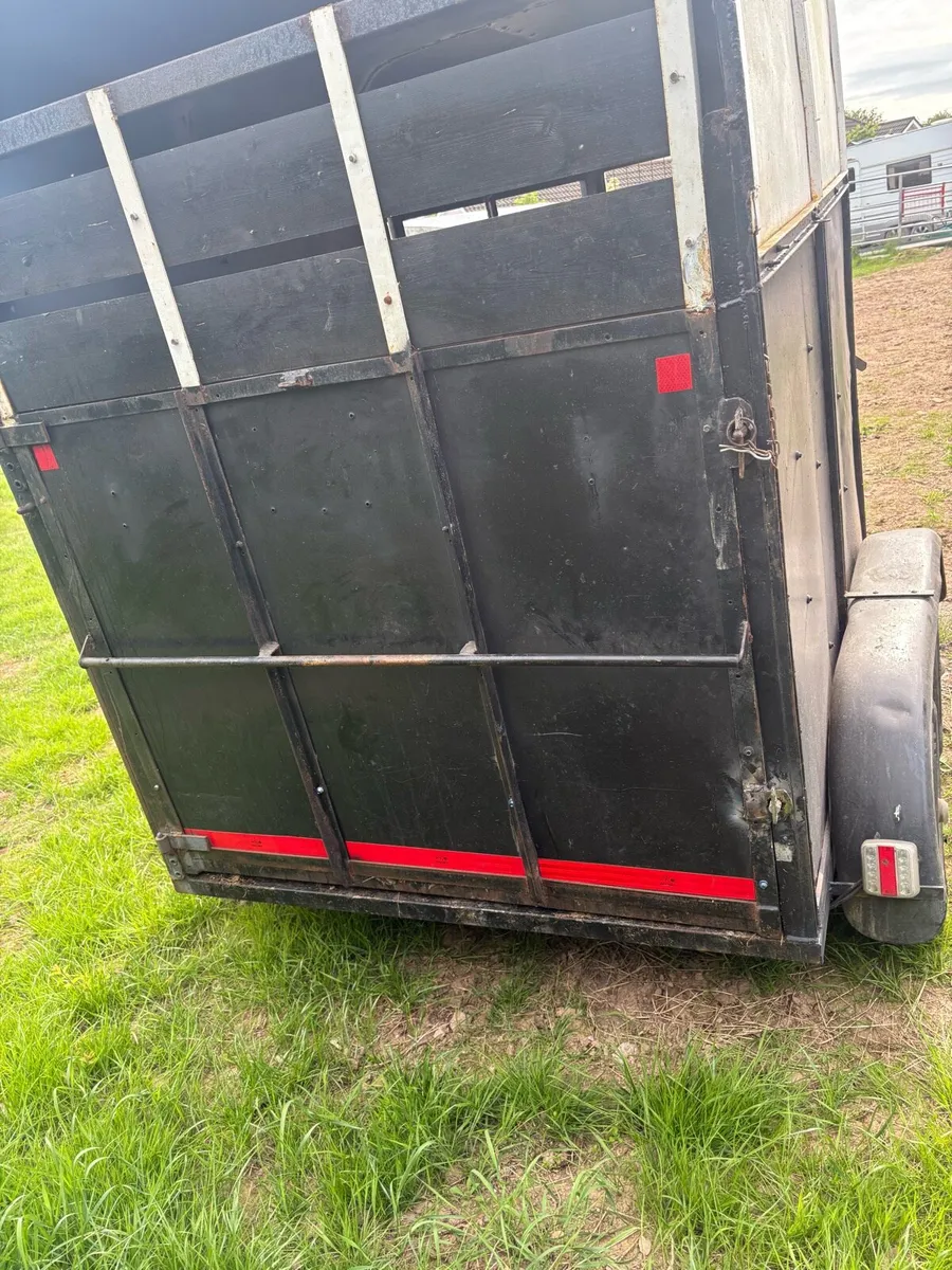🐎Monaghan Horse Box Forsale🐎 - Image 4