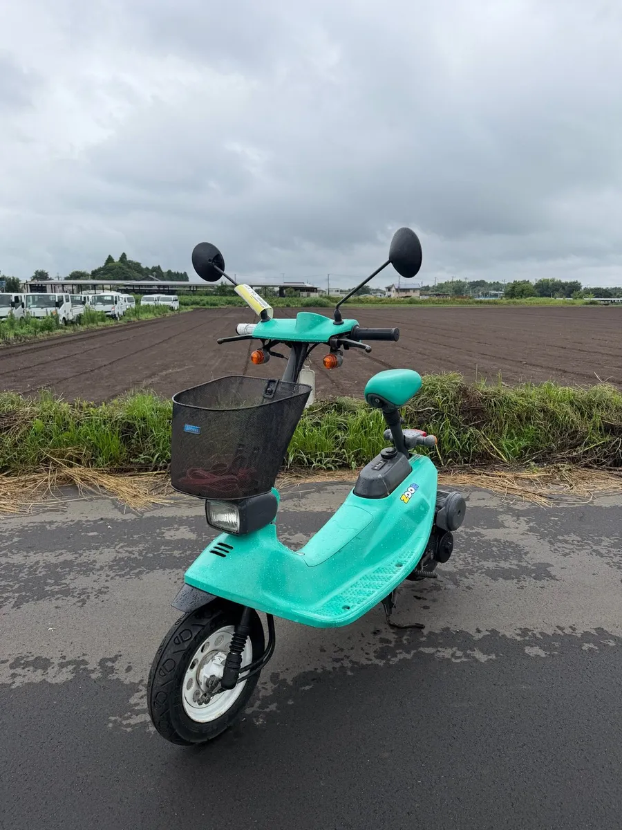 Honda Zook- limited edition Japanese moped - Image 2