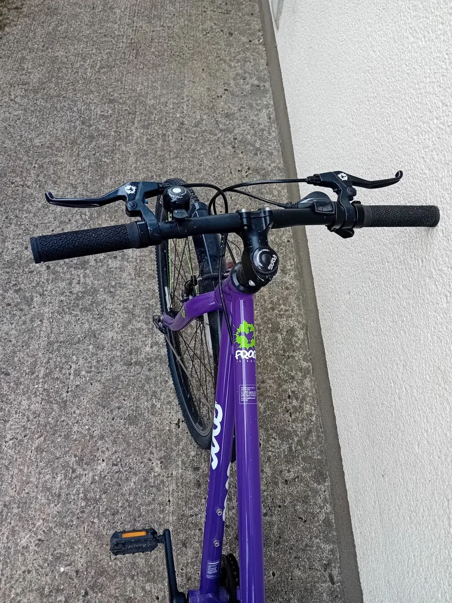 Frog bike 69 - Image 3