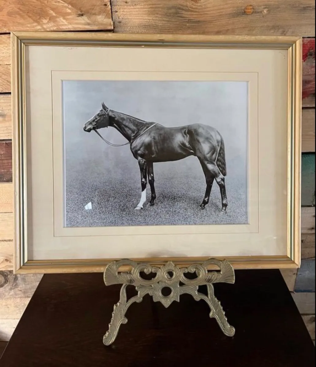 Vintage framed image - Racehorse Spearmint