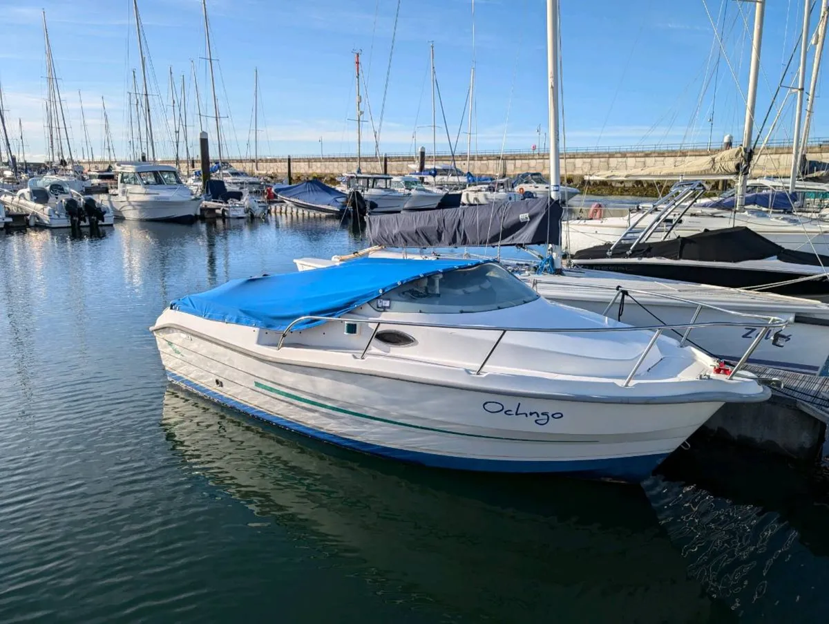 Sport/fishing boat - 60hp outboard - Image 1