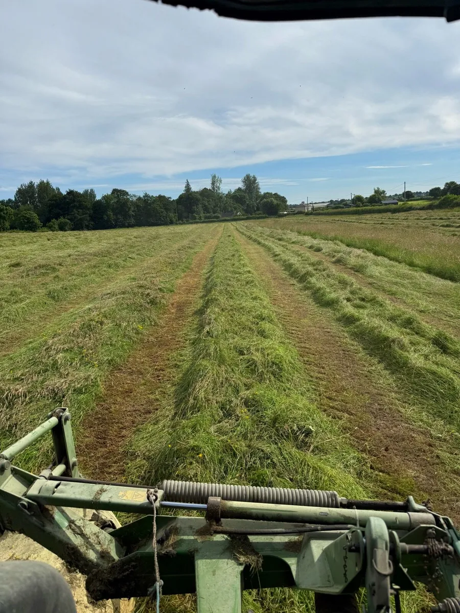 Hay round bales - Image 2