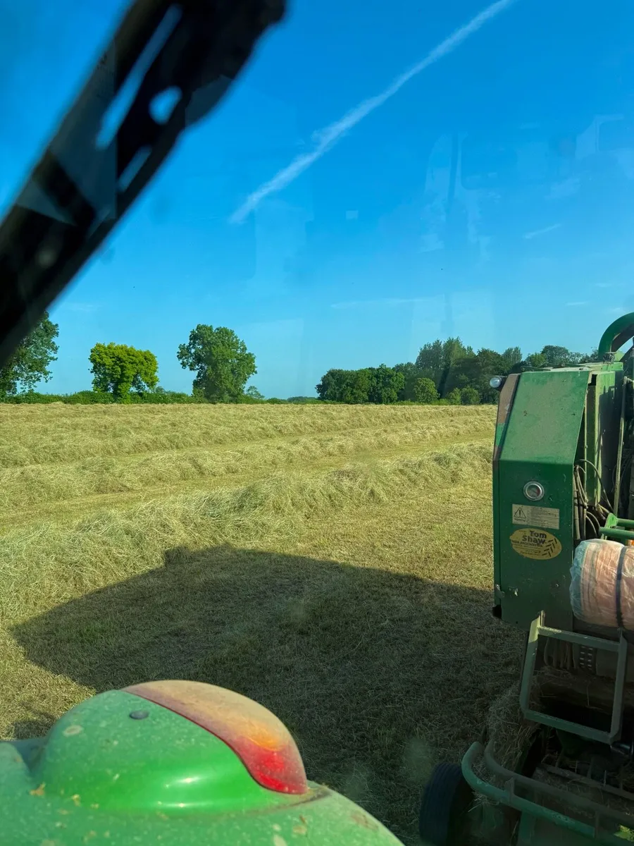 Hay round bales - Image 4