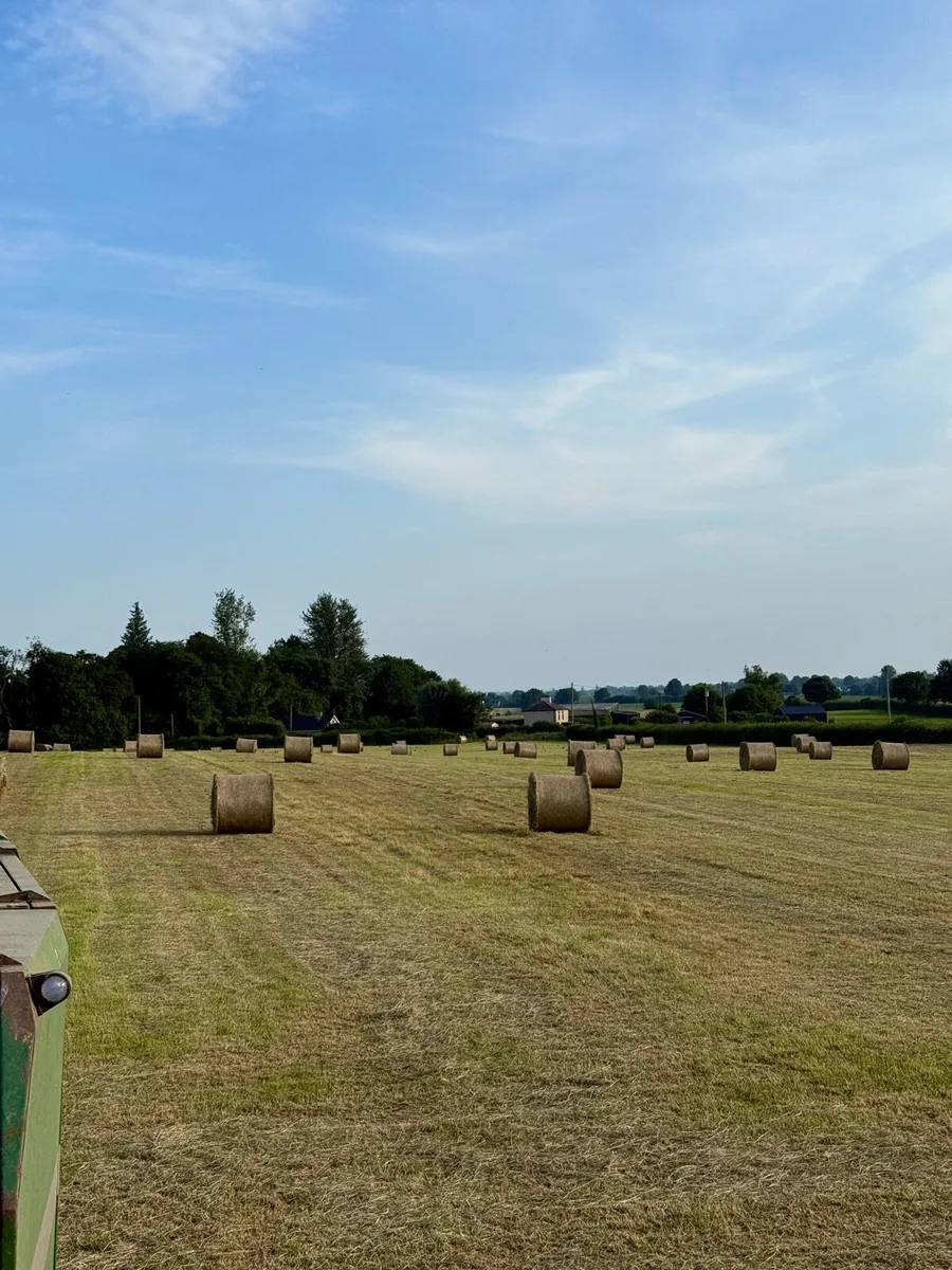 Hay round bales - Image 1