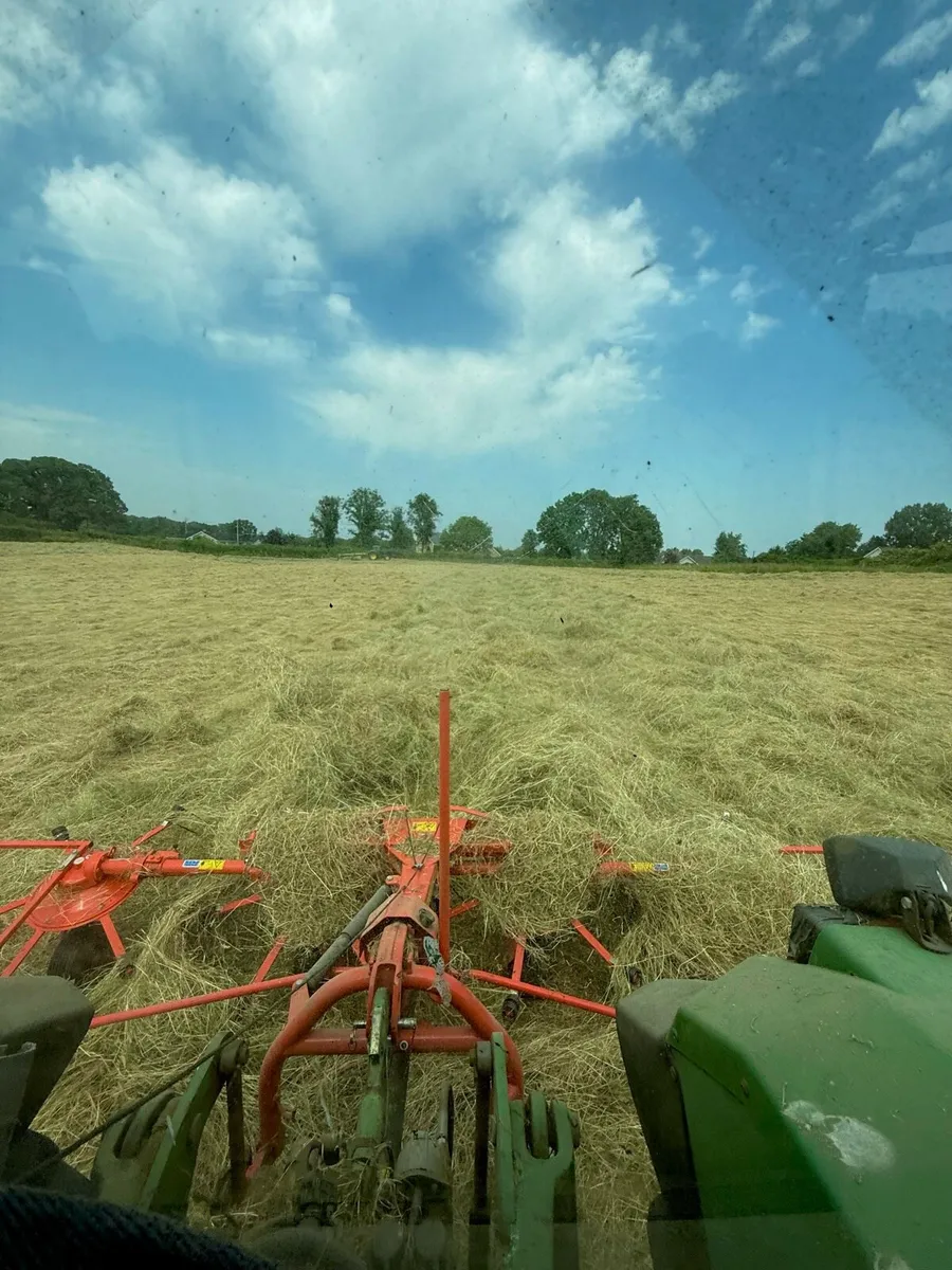 Hay round bales - Image 3