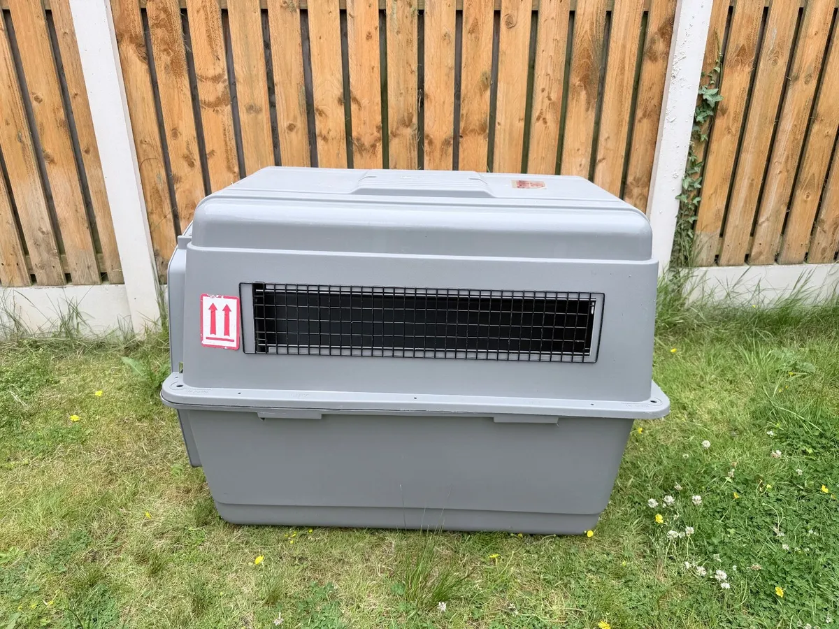 Sky Kennel - Image 4