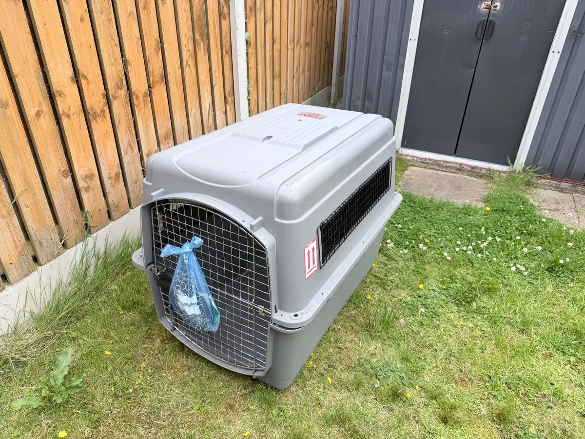 Sky Kennel - Image 1