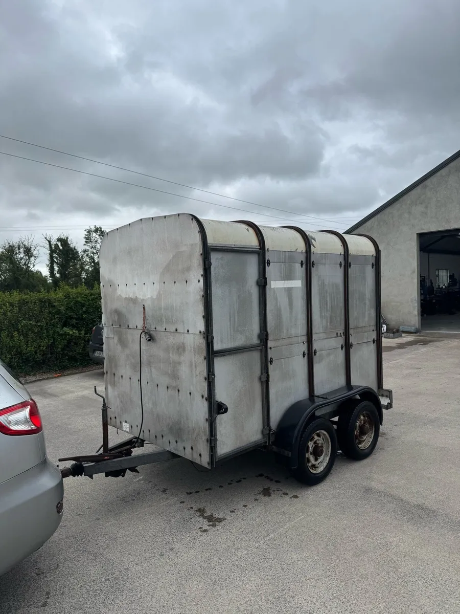 8x5 cattle trailer - Image 1