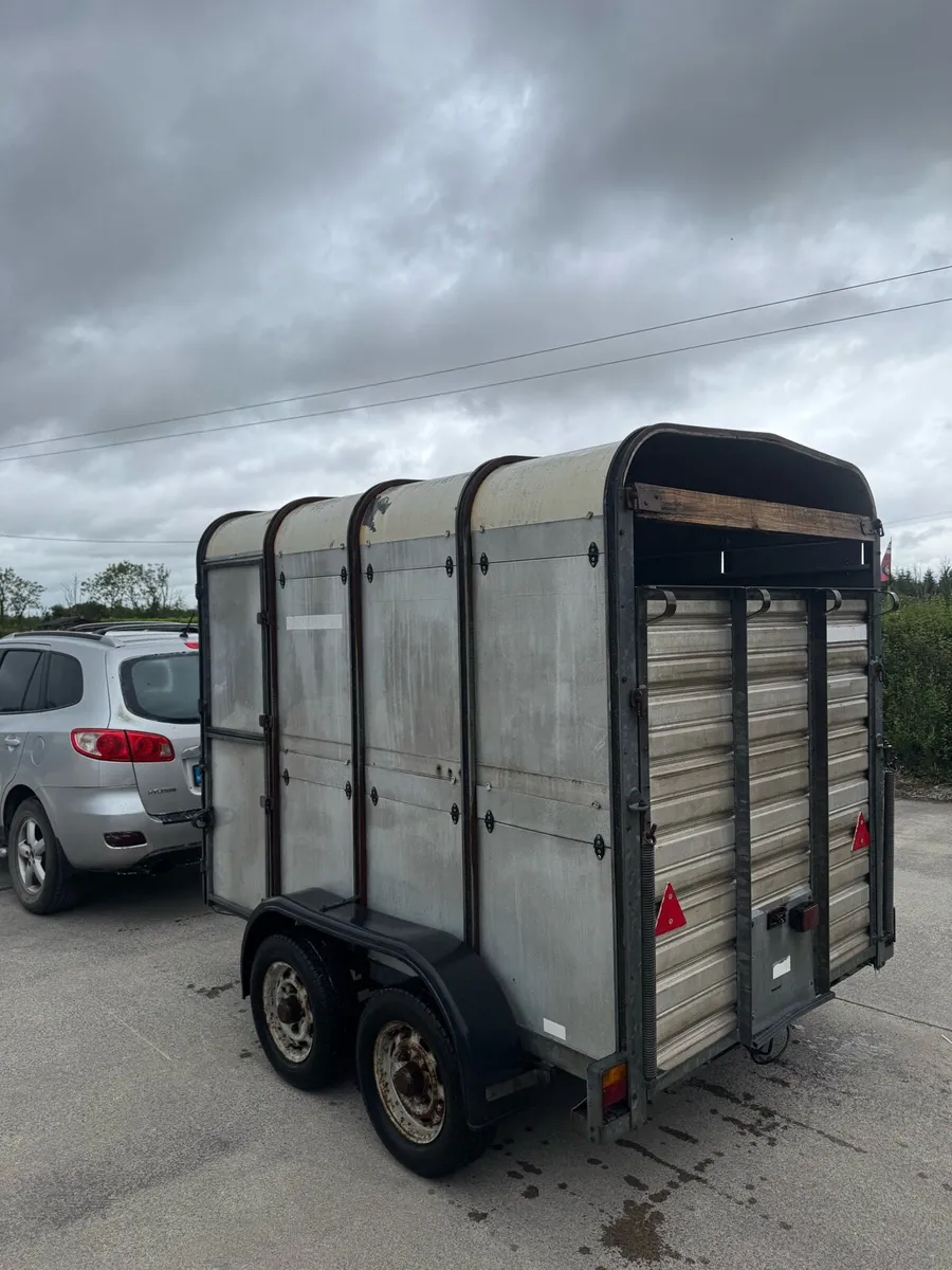 8x5 cattle trailer - Image 2