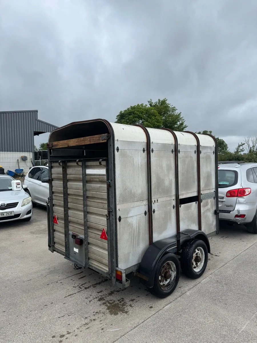8x5 cattle trailer - Image 3