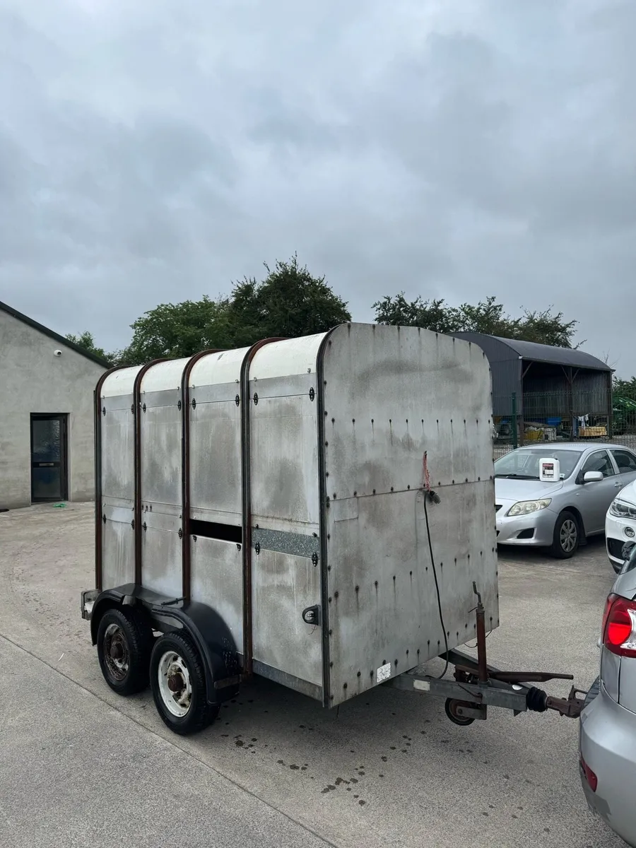 8x5 cattle trailer - Image 4