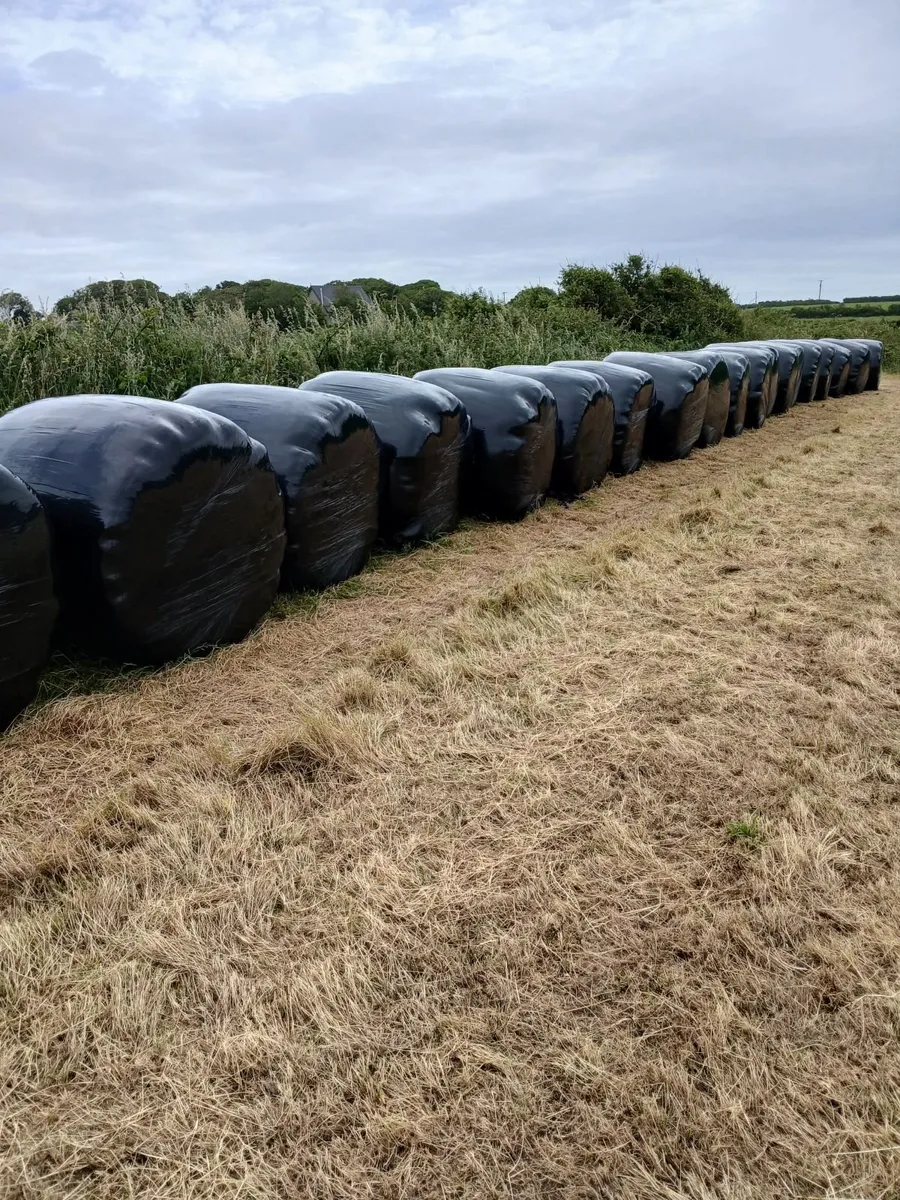 Hay and hayledge for sale - Image 2