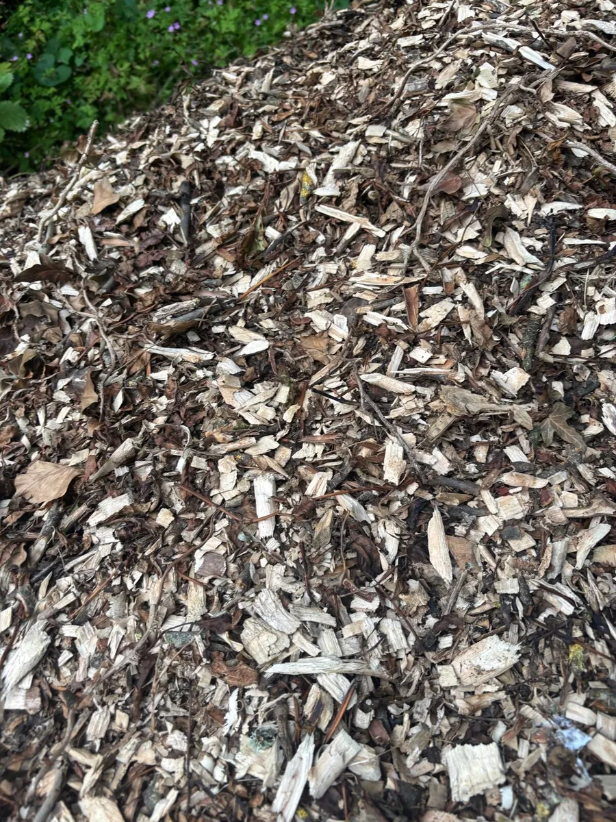 Wood chipper service - Image 2