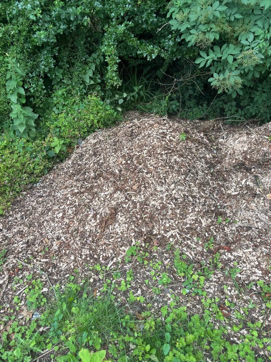 Wood chipper service - Image 3