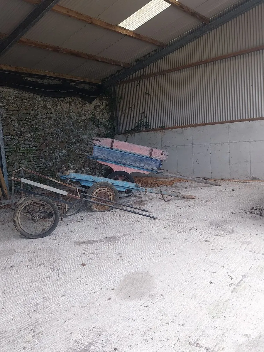 horse carts - Image 2