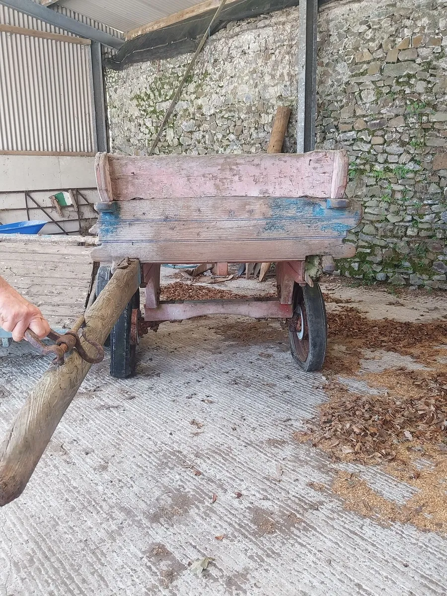 horse carts - Image 3