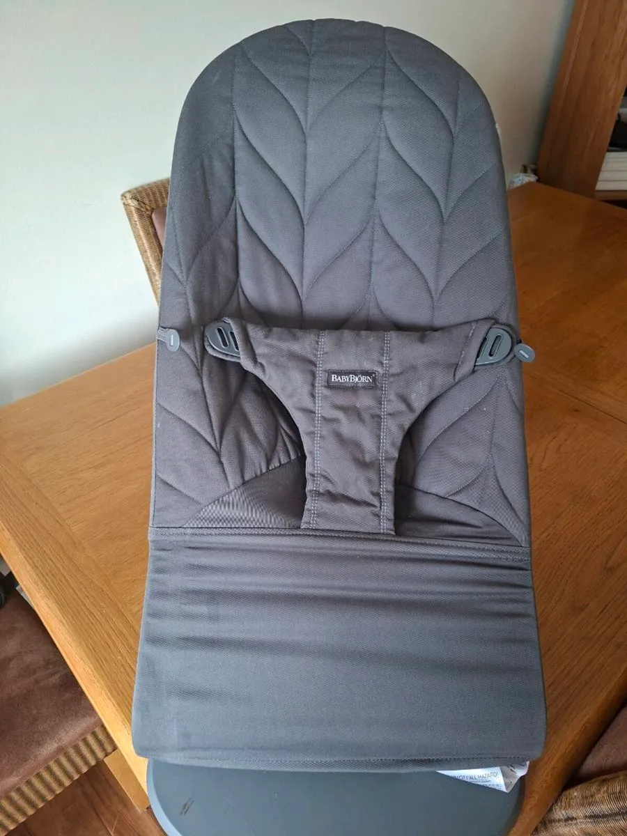 Baby Bjorn bouncer - Image 1