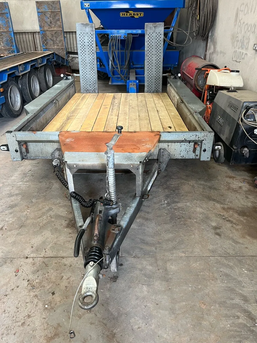 IForWilliams gx106 plant trailer 10x6ft - Image 3