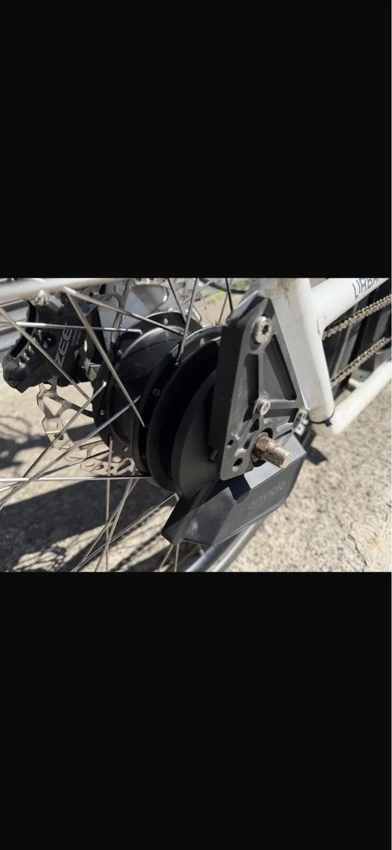 Urban Arrow cargo bike - Image 2