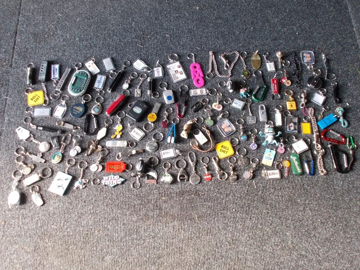 Job Lot of 100+ Key Rings - Image 1