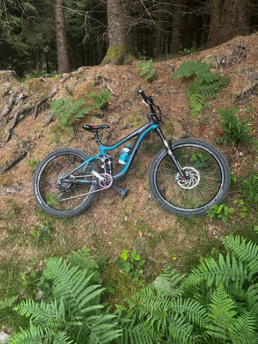 Giant reign 2 - Image 1