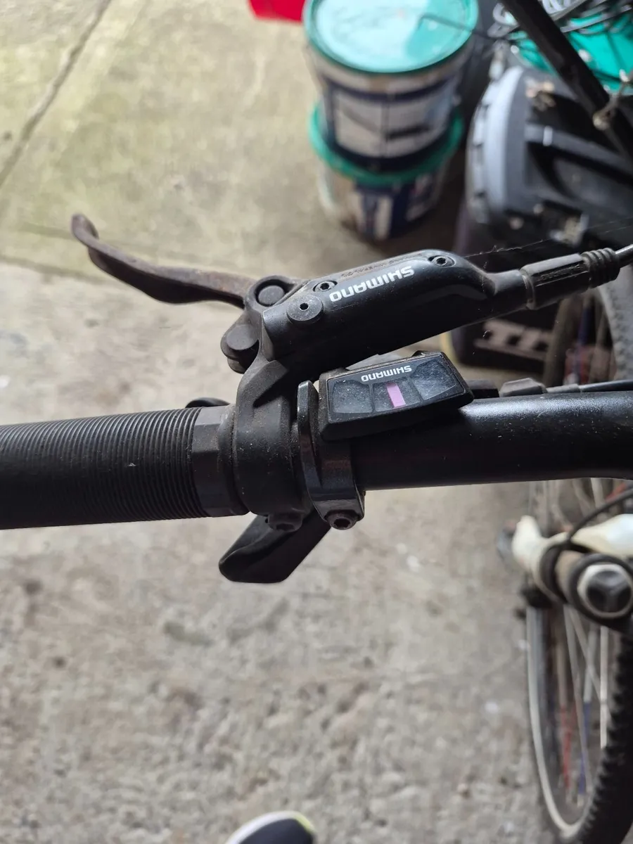 Bicycle - Image 1