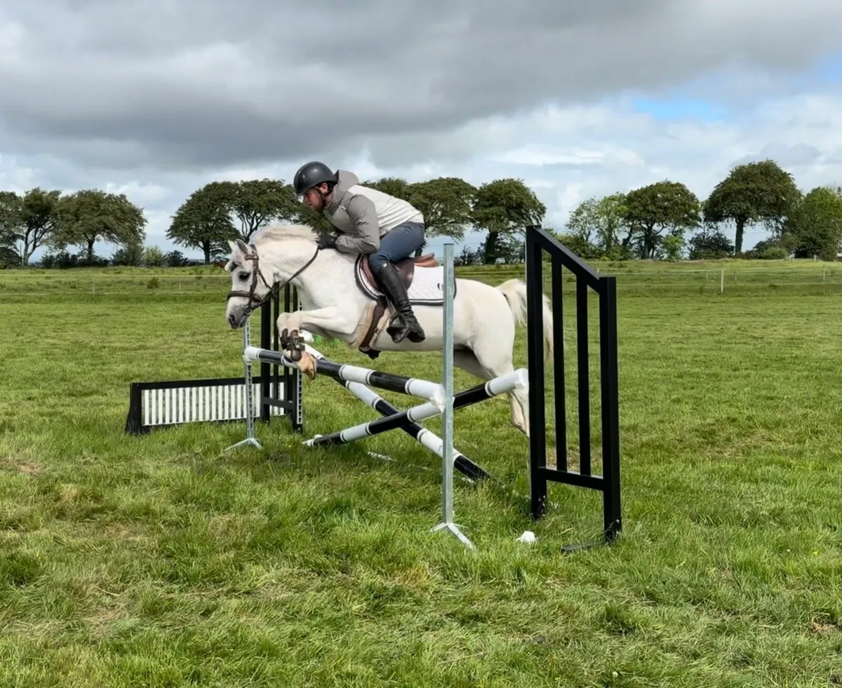 Competition 12:2 pony - Image 1