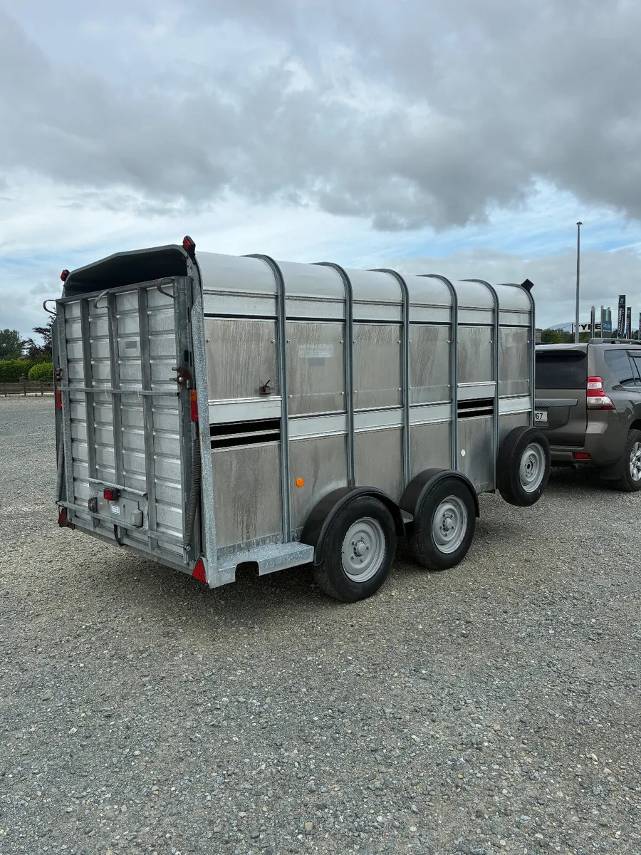 Ifor Williams 12x6 cattle trailer - Image 2
