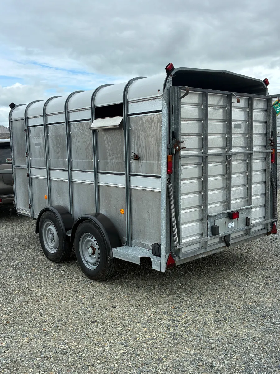 Ifor Williams 12x6 cattle trailer - Image 4
