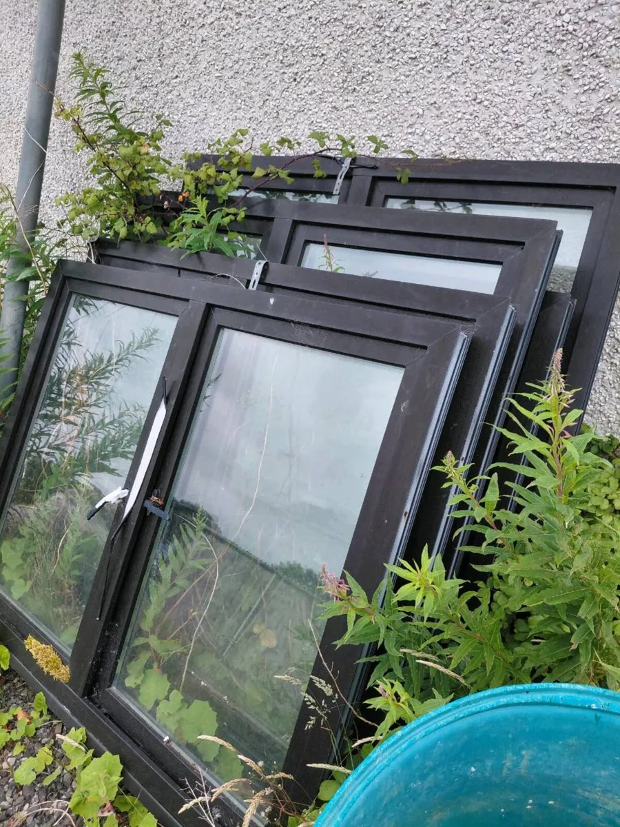 Windows - Image 2