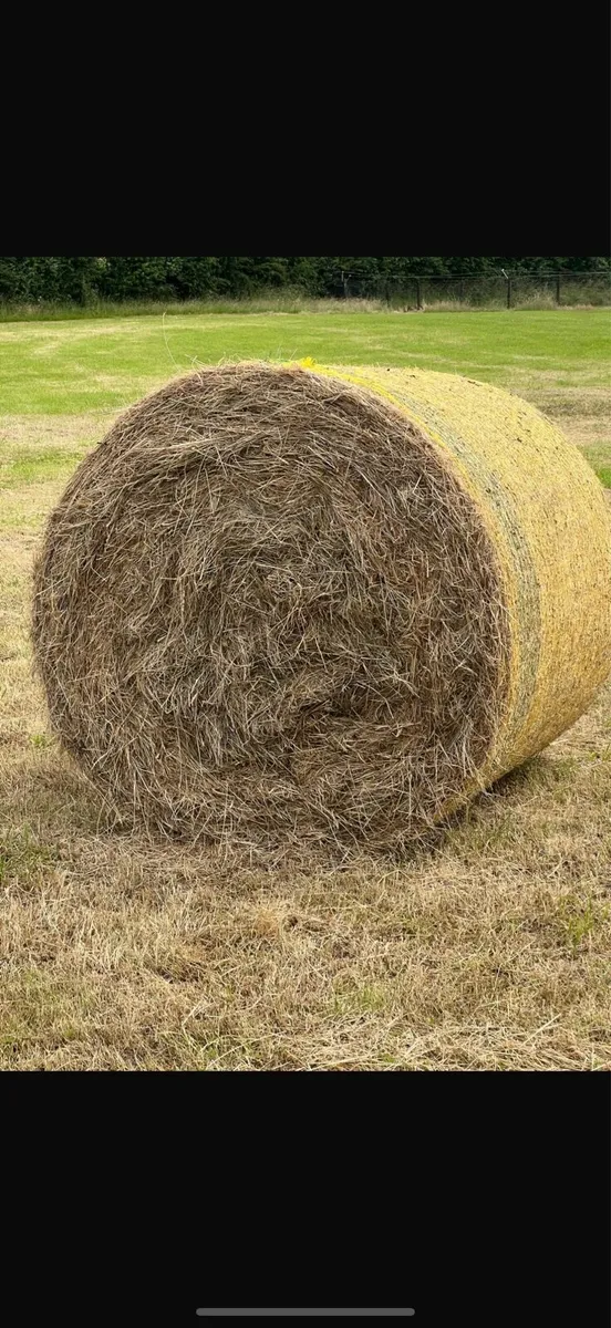 Hay for sale