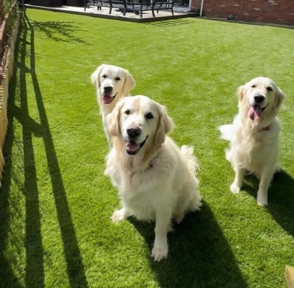 Brand new artificial grass. - Image 2